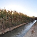 Acequia de Quinto