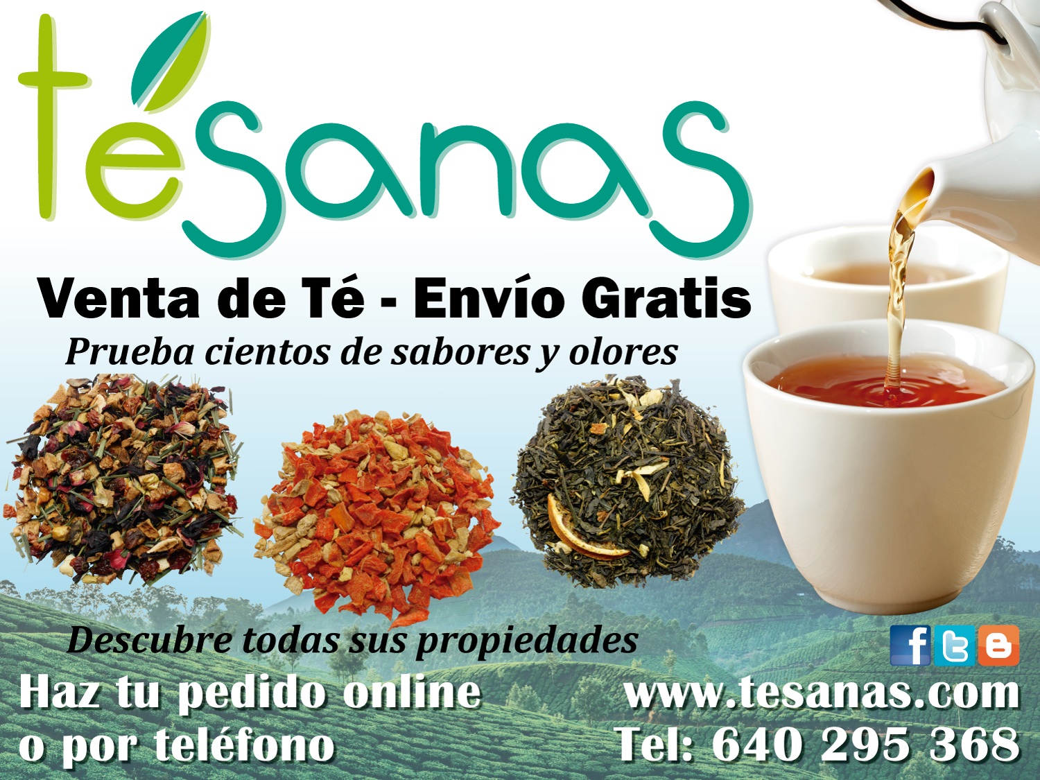 Flyer Te Sanas