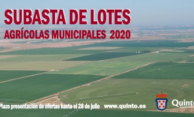 El Ayuntamiento saca a subasta 174 lotes de cultivo