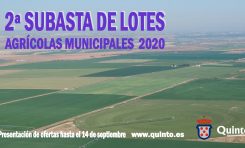 2ª Subasta de lotes de cultivo