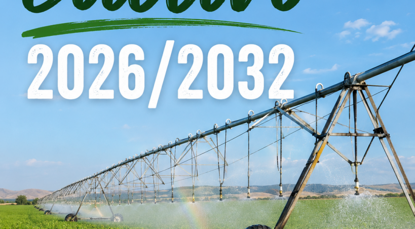 Segunda subasta de lotes de cultivo de secano y regadío